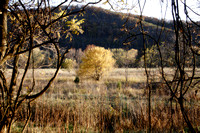 South Branch Valley at old Messick Farm, Green Spring