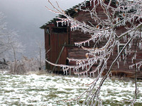 Ice Storm at Foxwalk Farm