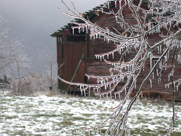 Ice Storm at Foxwalk Farm