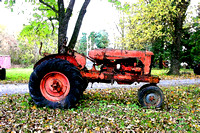 Kenny's antique tractors, Romney
